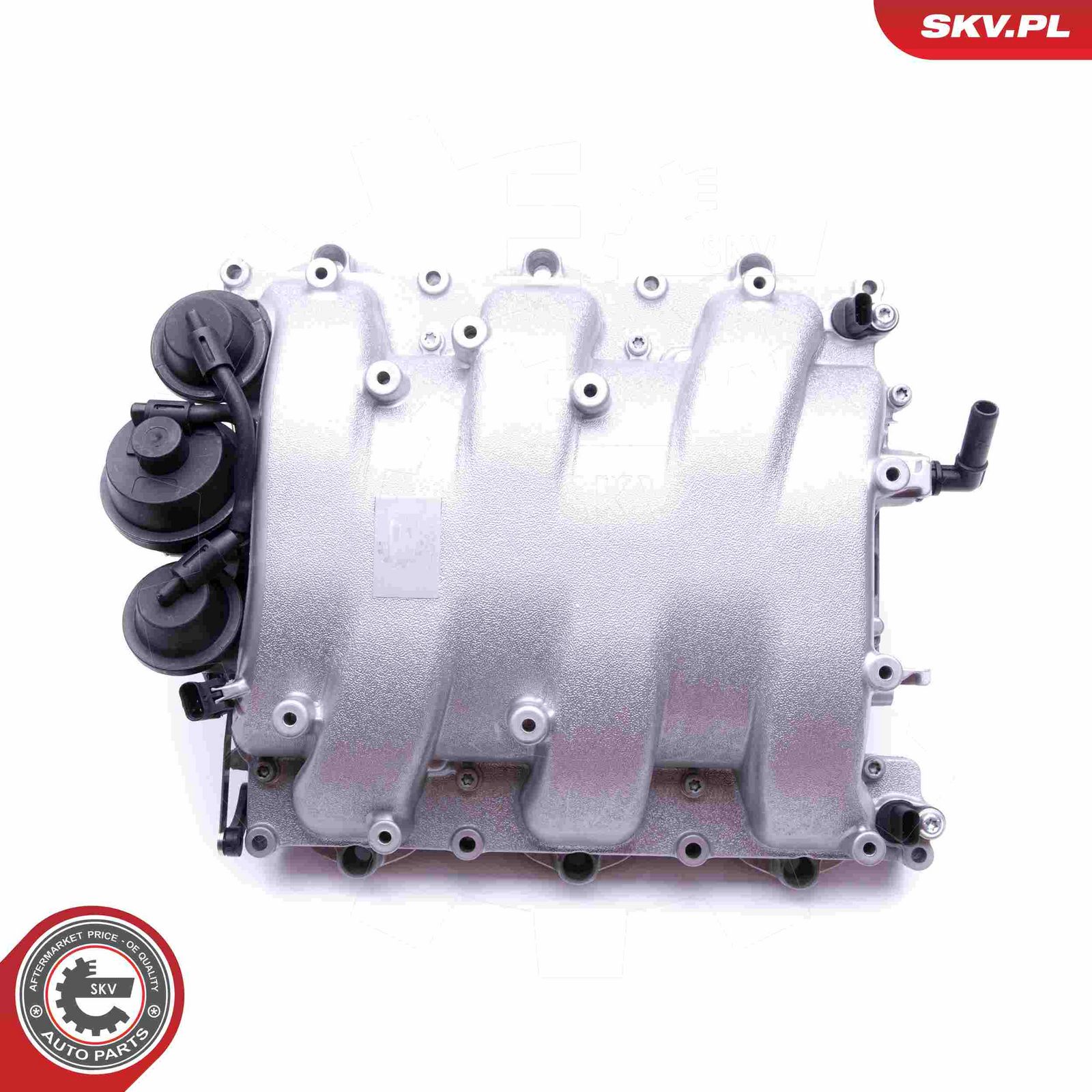 ESEN SKV 49SKV013 Intake manifold module