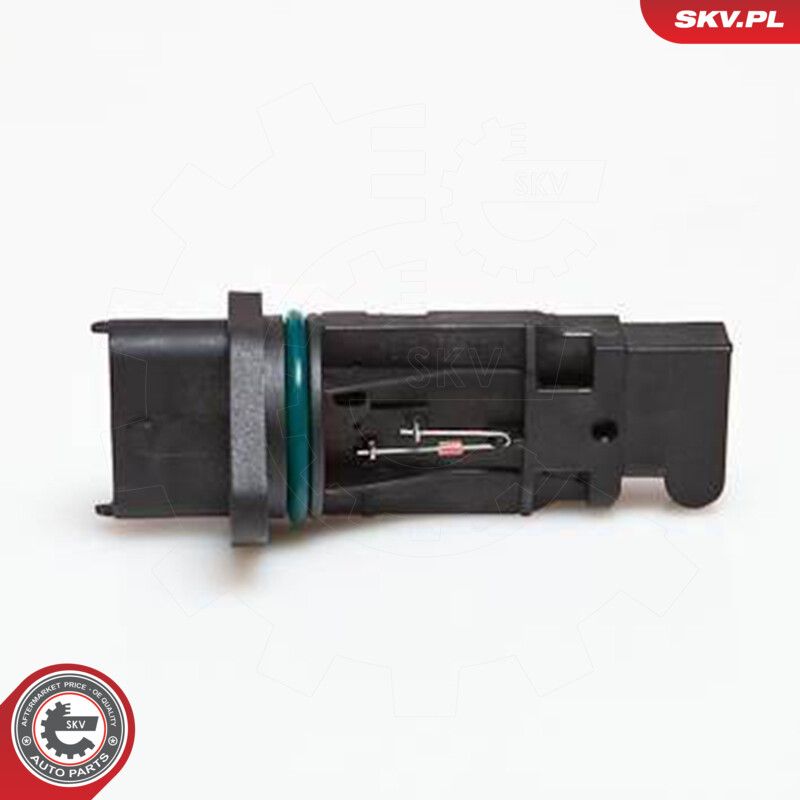 Mass Air Flow Sensor-1