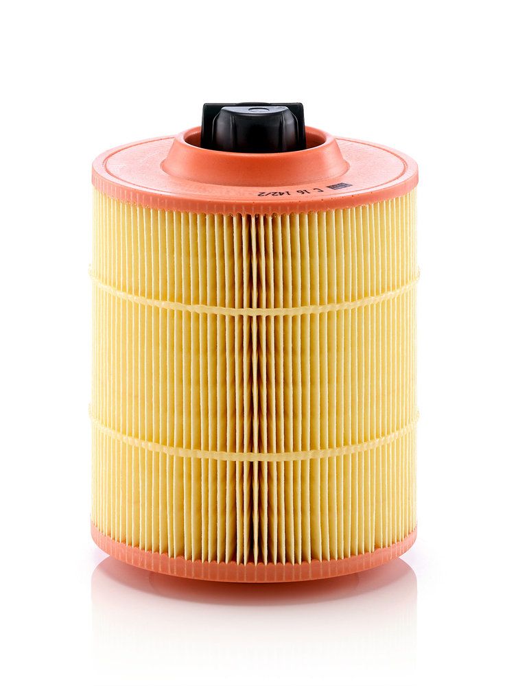 MANN-FILTER C 16 142/2 Air filter
