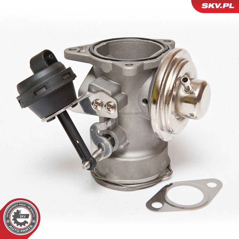 ESEN SKV 14SKV081 Egr valve