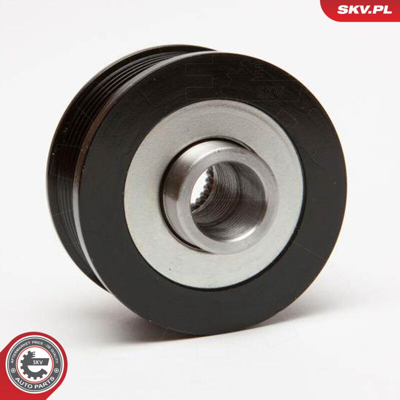 Alternator Freewheel Clutch-1