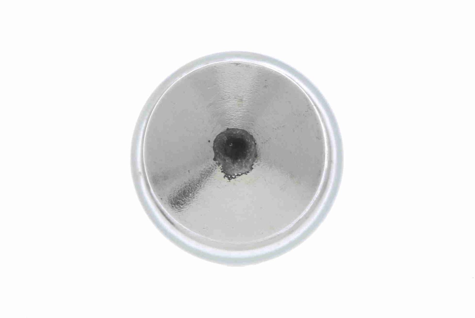 Bulb, licence plate light-1