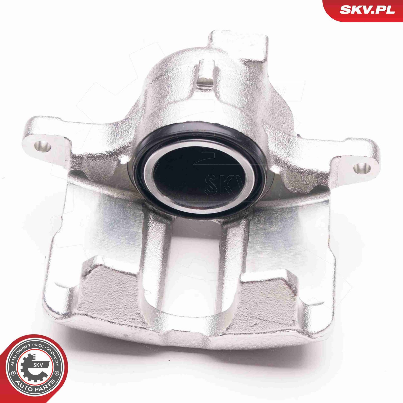 Brake Caliper-1