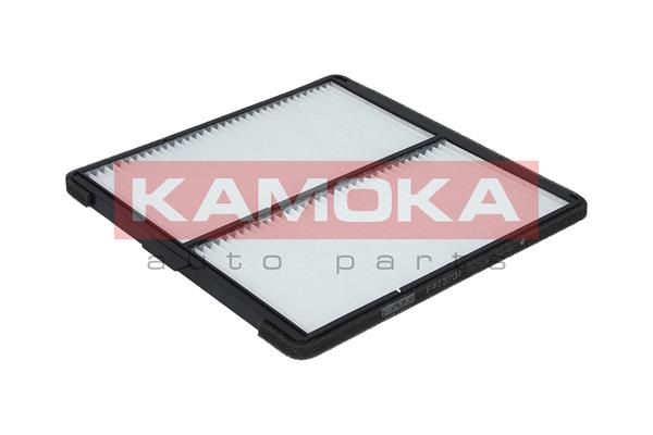 filtras, salono oras-3