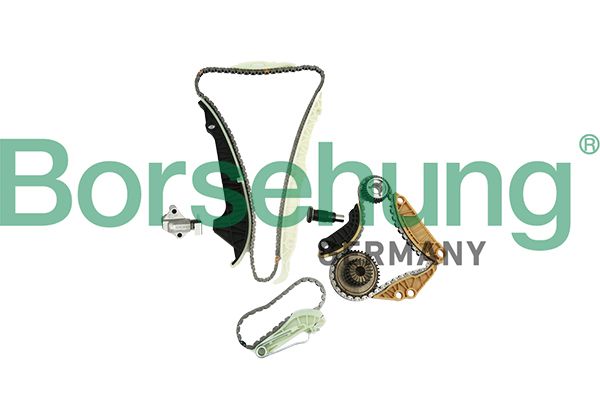 BORSEHUNG B19254 Timing chain kit