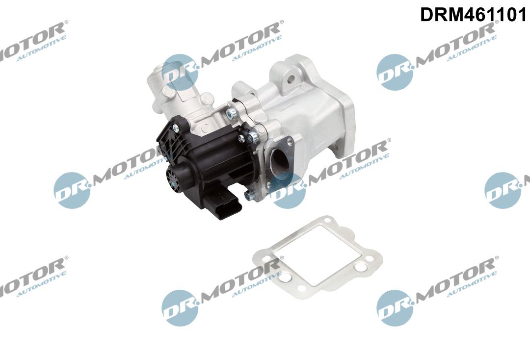 DR.MOTOR AUTOMOTIVE DRM461101 Egr valve
