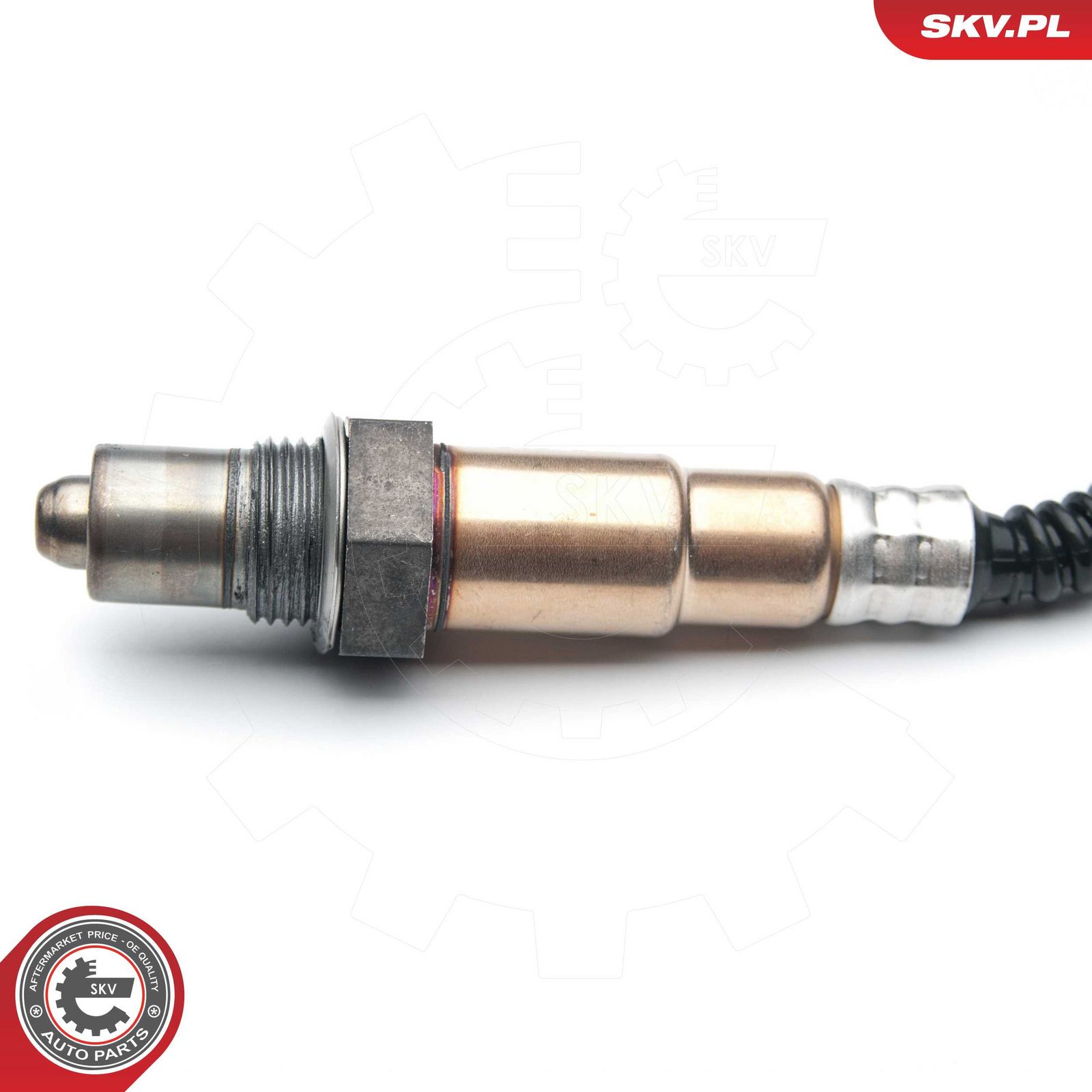 Oxygen Sensor-2