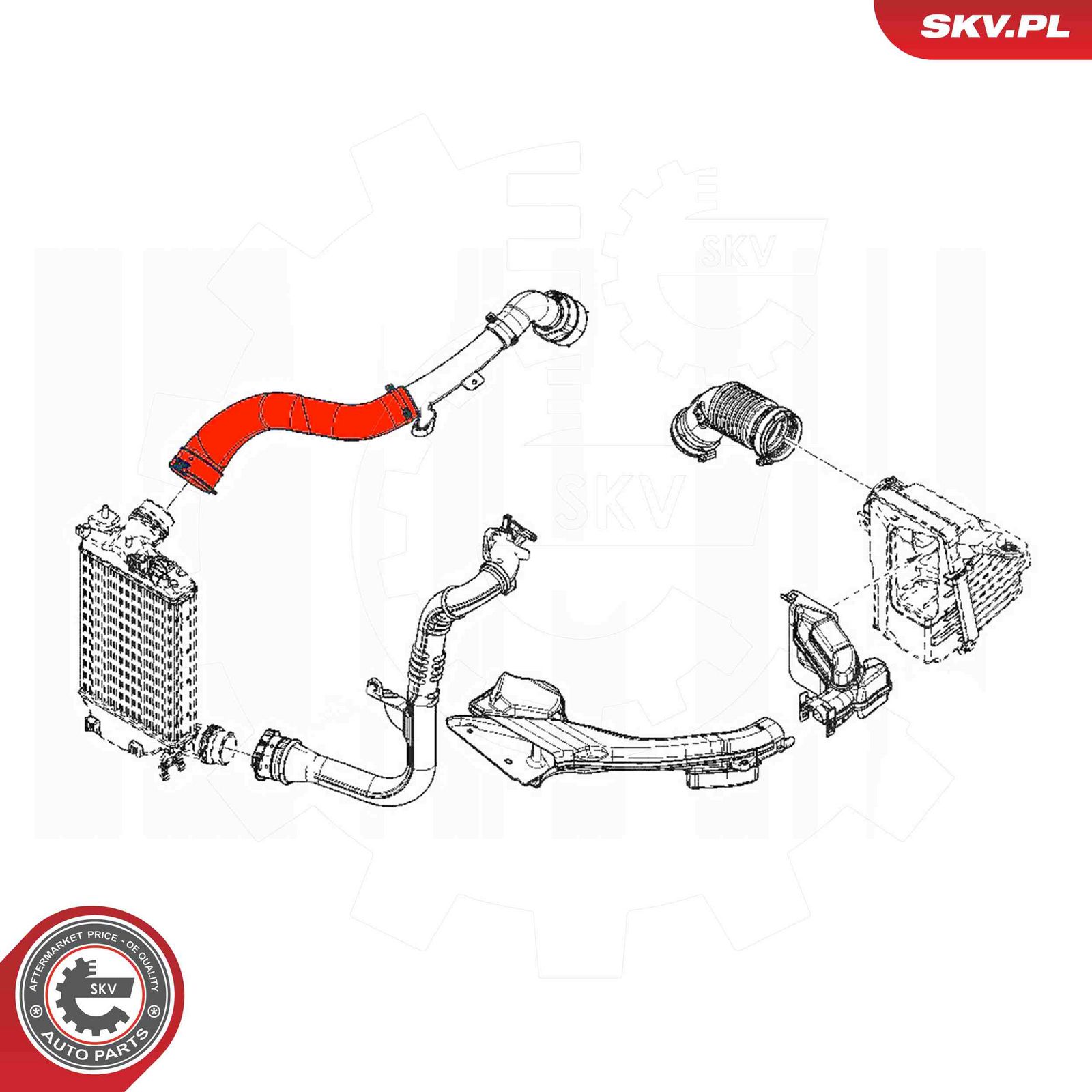 Charge Air Hose-2