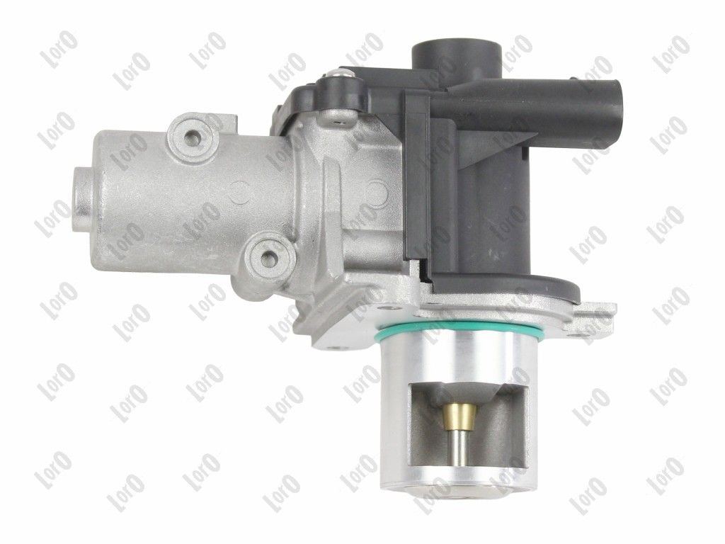 EGR Valve-2