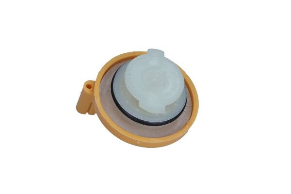 Cap, oil filler neck-1