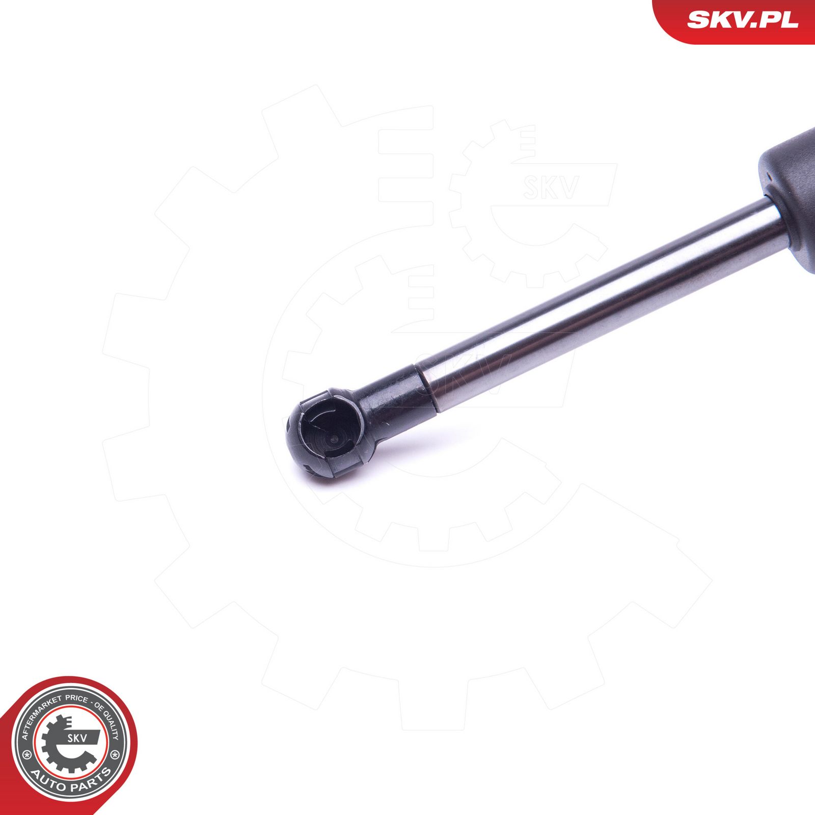 Gas Spring, bonnet-1