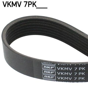 V-ribbed Belt