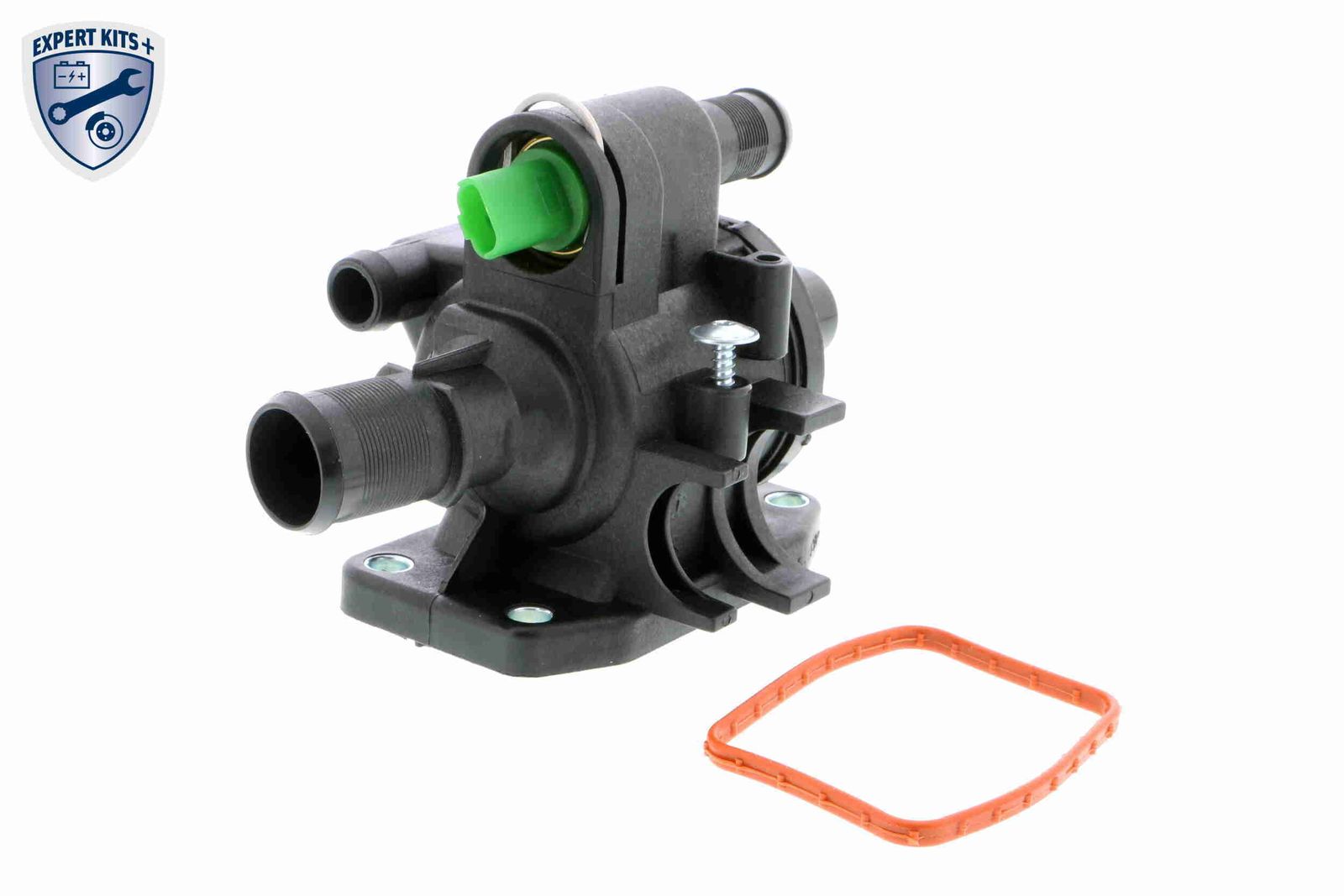 termostatas, aušinimo skystis