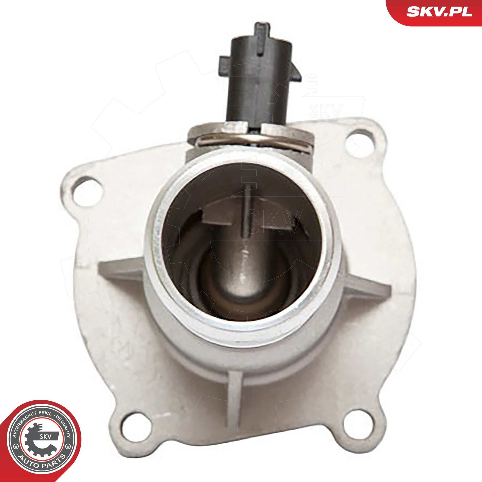Thermostat, coolant-5