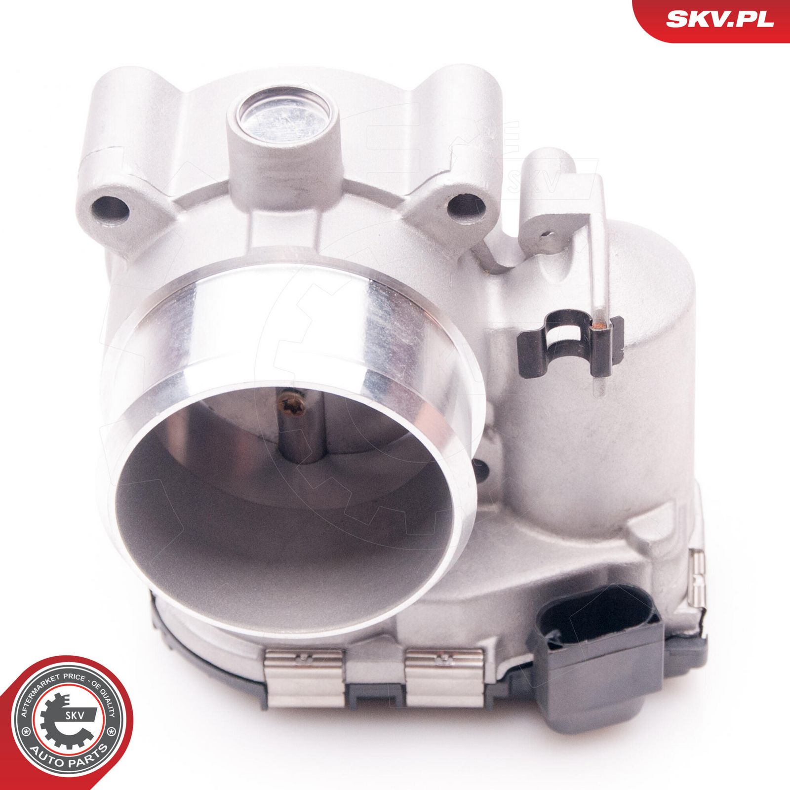 ESEN SKV 12SKV065 Throttle body