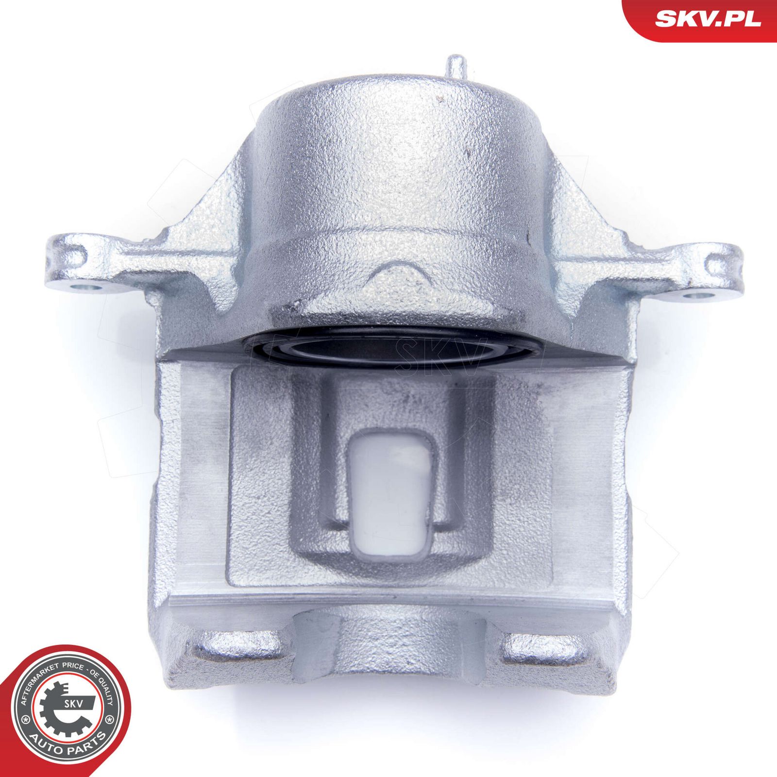 Brake Caliper-5