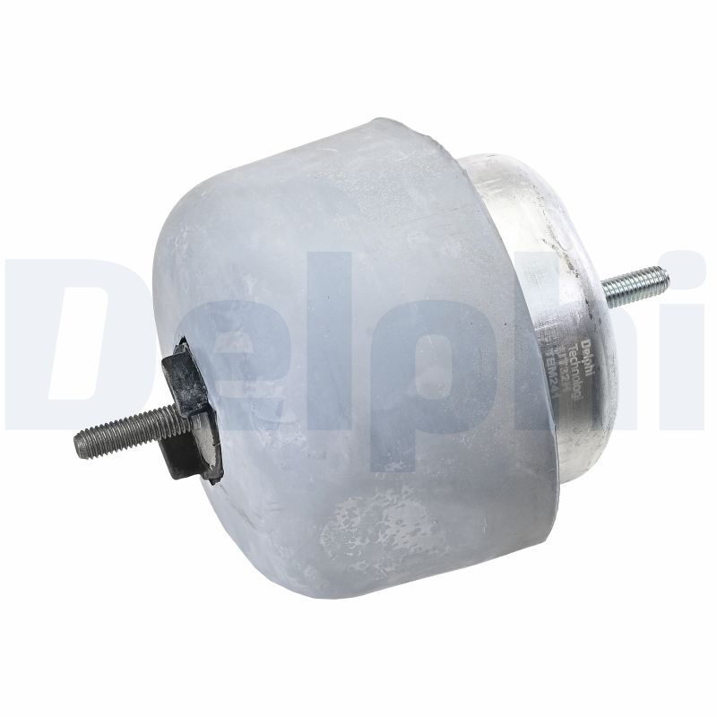 DELPHI TEM241 Mounting, engine