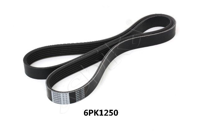 ASHIKA 112-6PK1250 V-ribbed belt