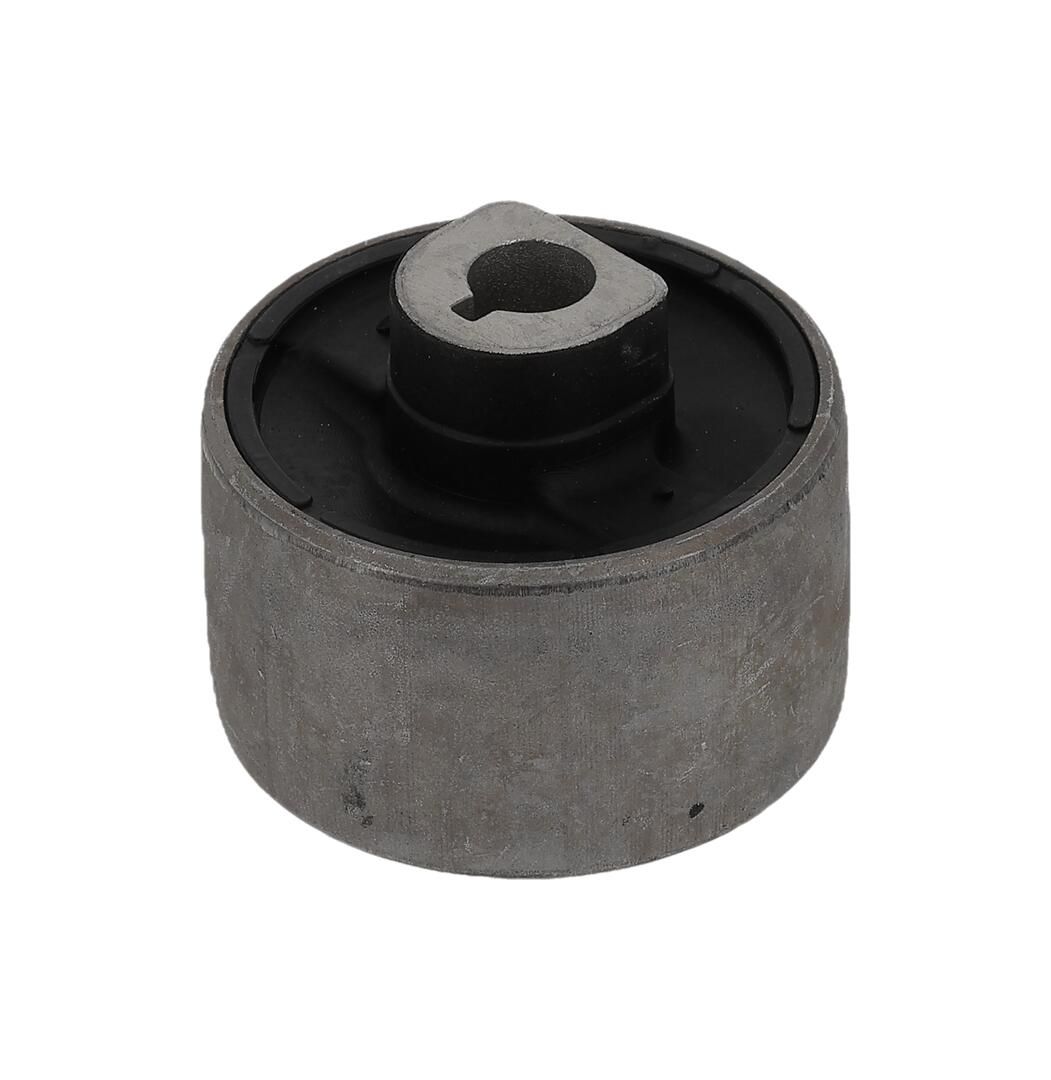 Mounting, control/trailing arm-2