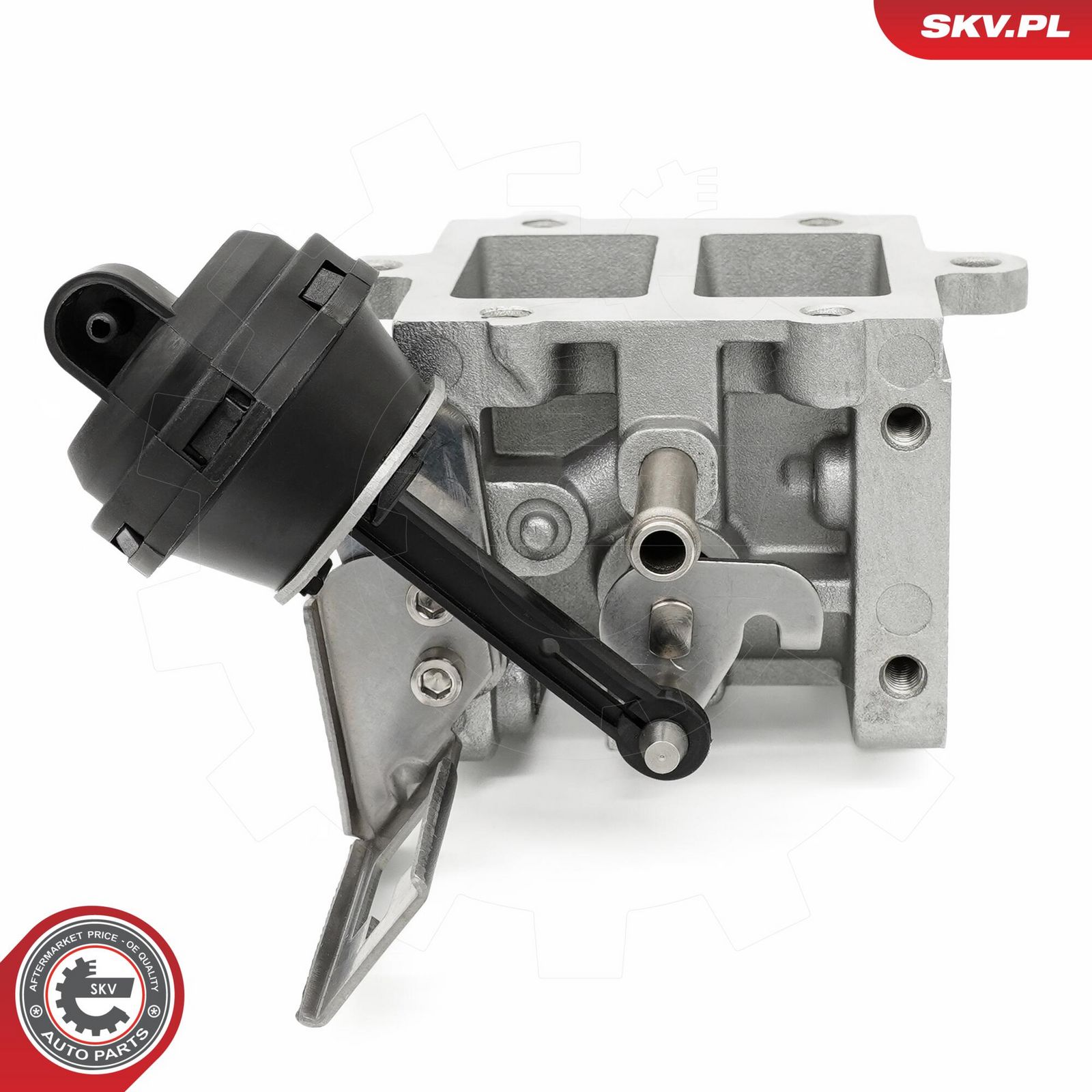 EGR Valve-4