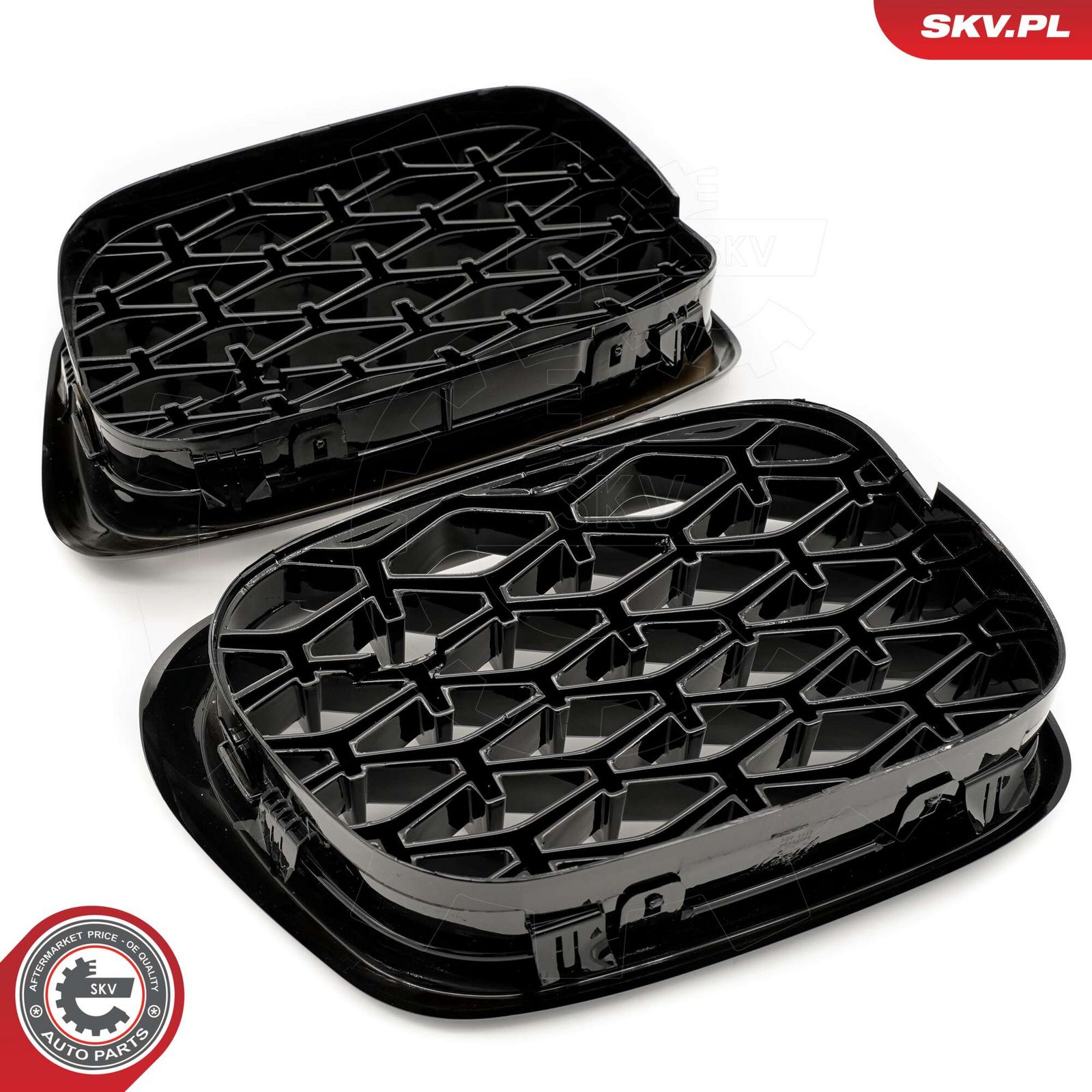 Radiator Grille-2
