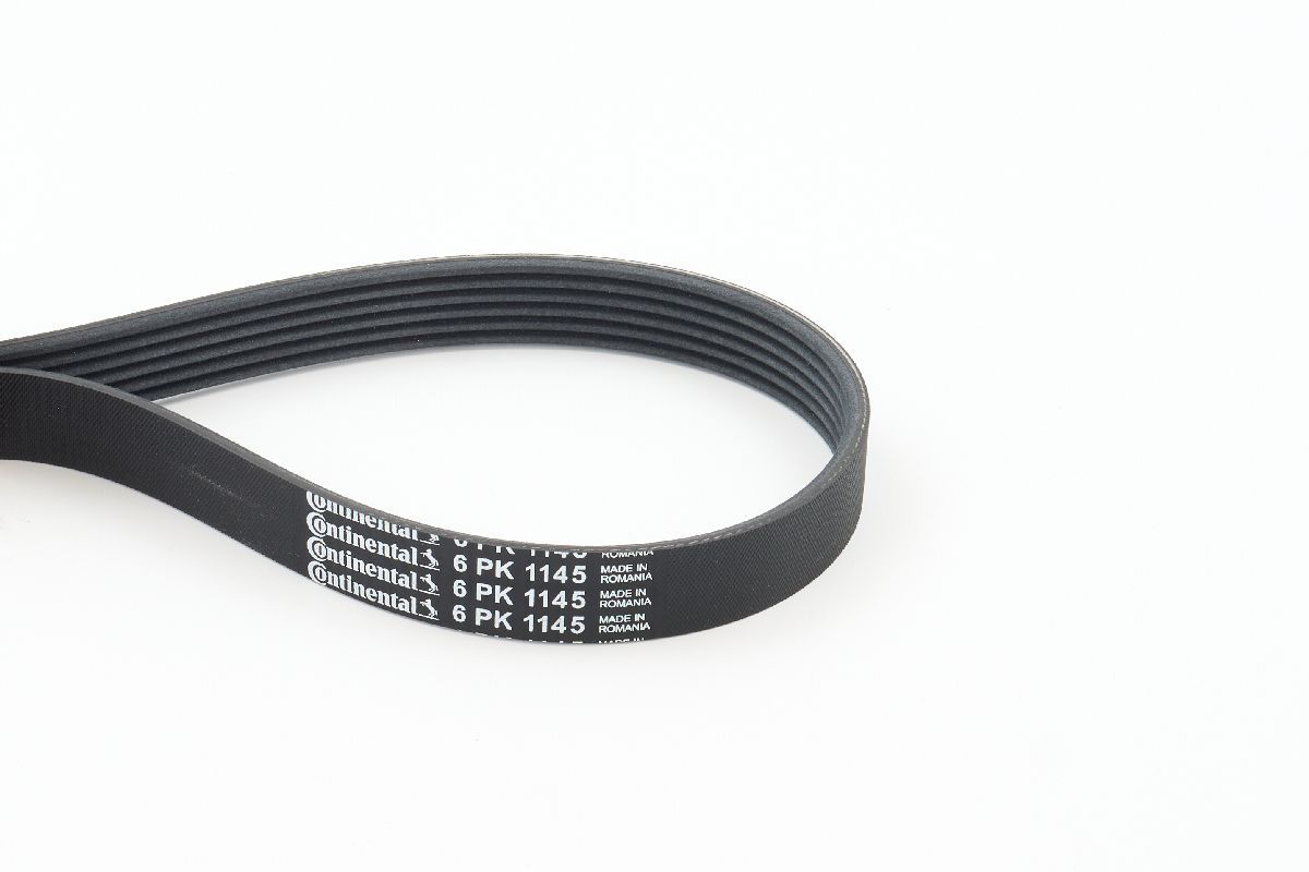 CONTINENTAL CTAM 6PK1145 V-ribbed belt