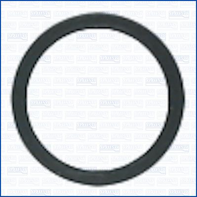 Seal Ring, injector-1