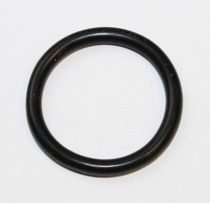 Seal Ring