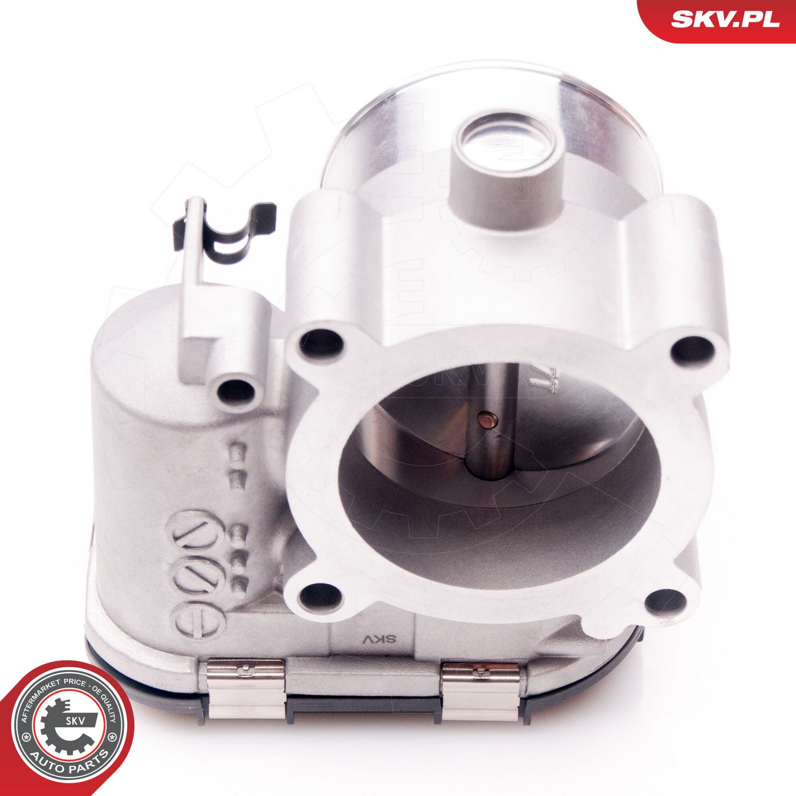 Throttle Body-1