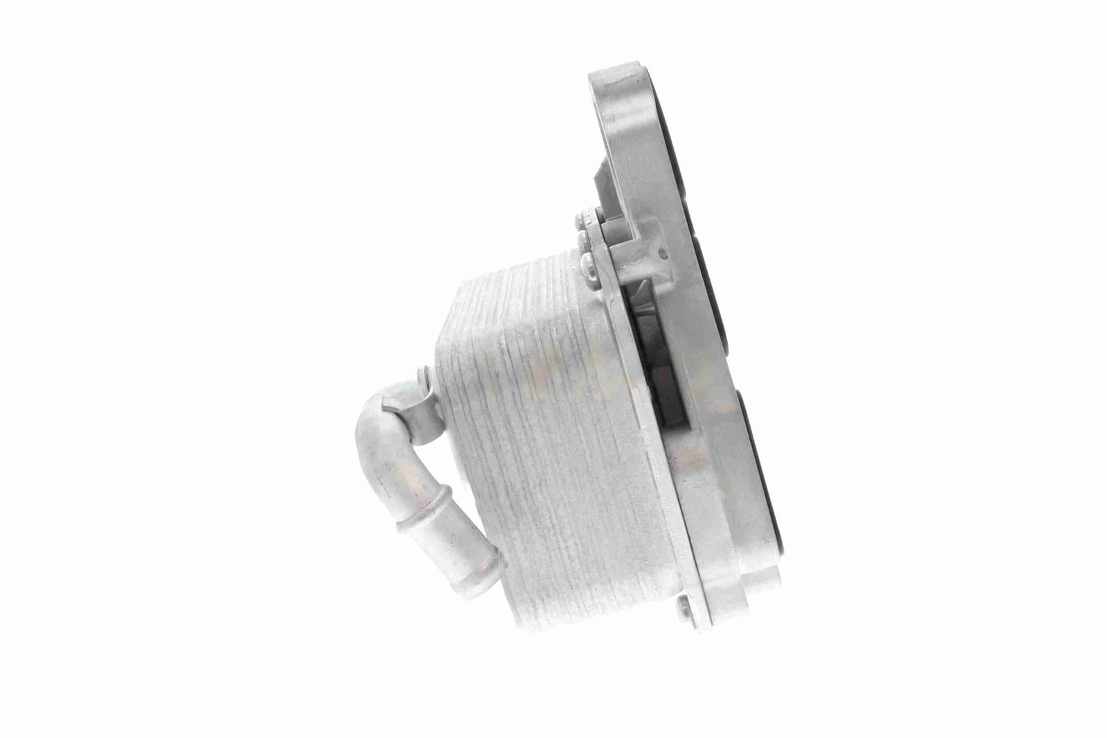 Oil Cooler, engine oil-6