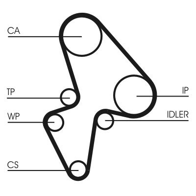 Water Pump & Timing Belt Kit-1