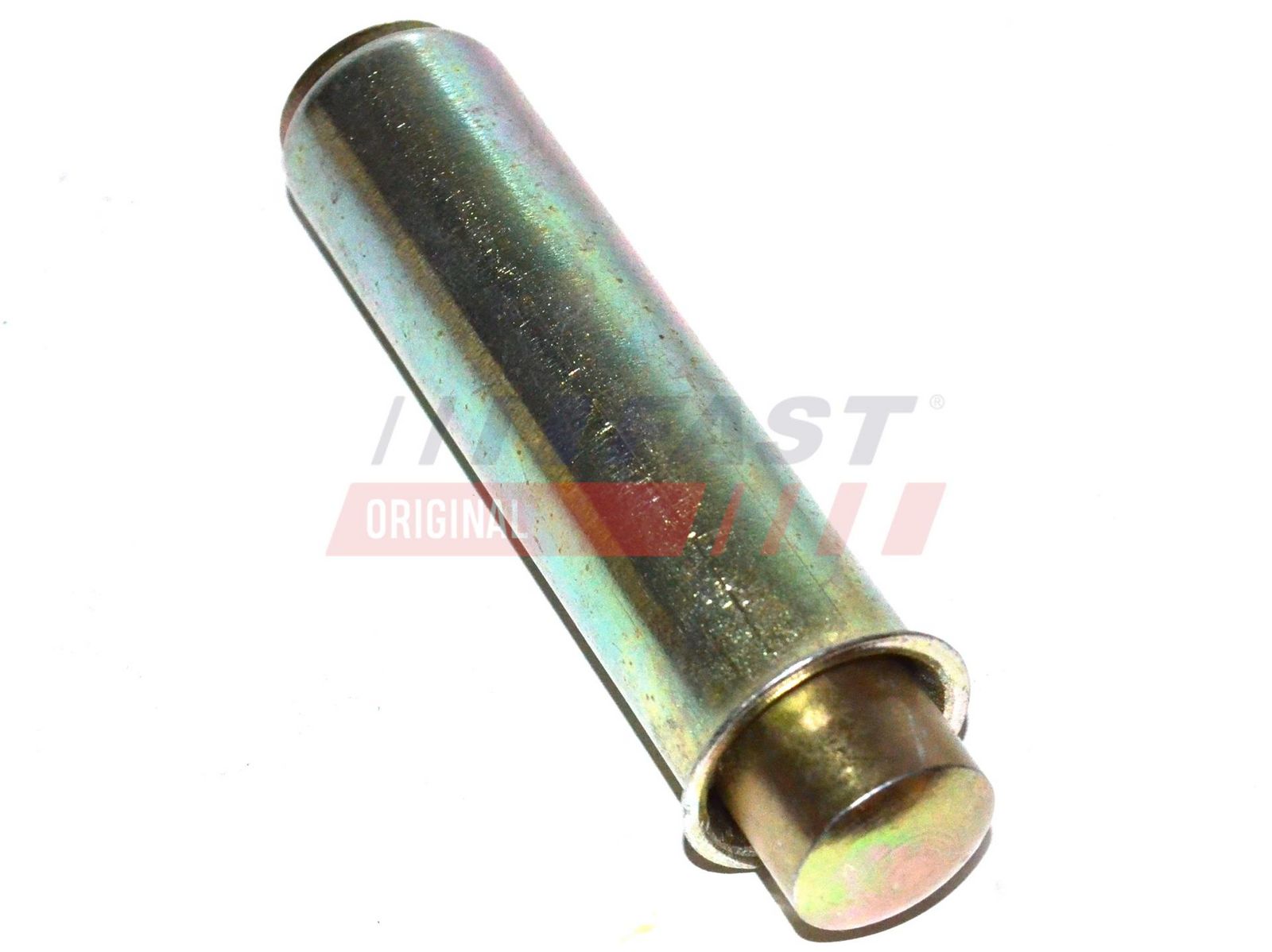 FAST FT44081 Vibration damper, timing belt