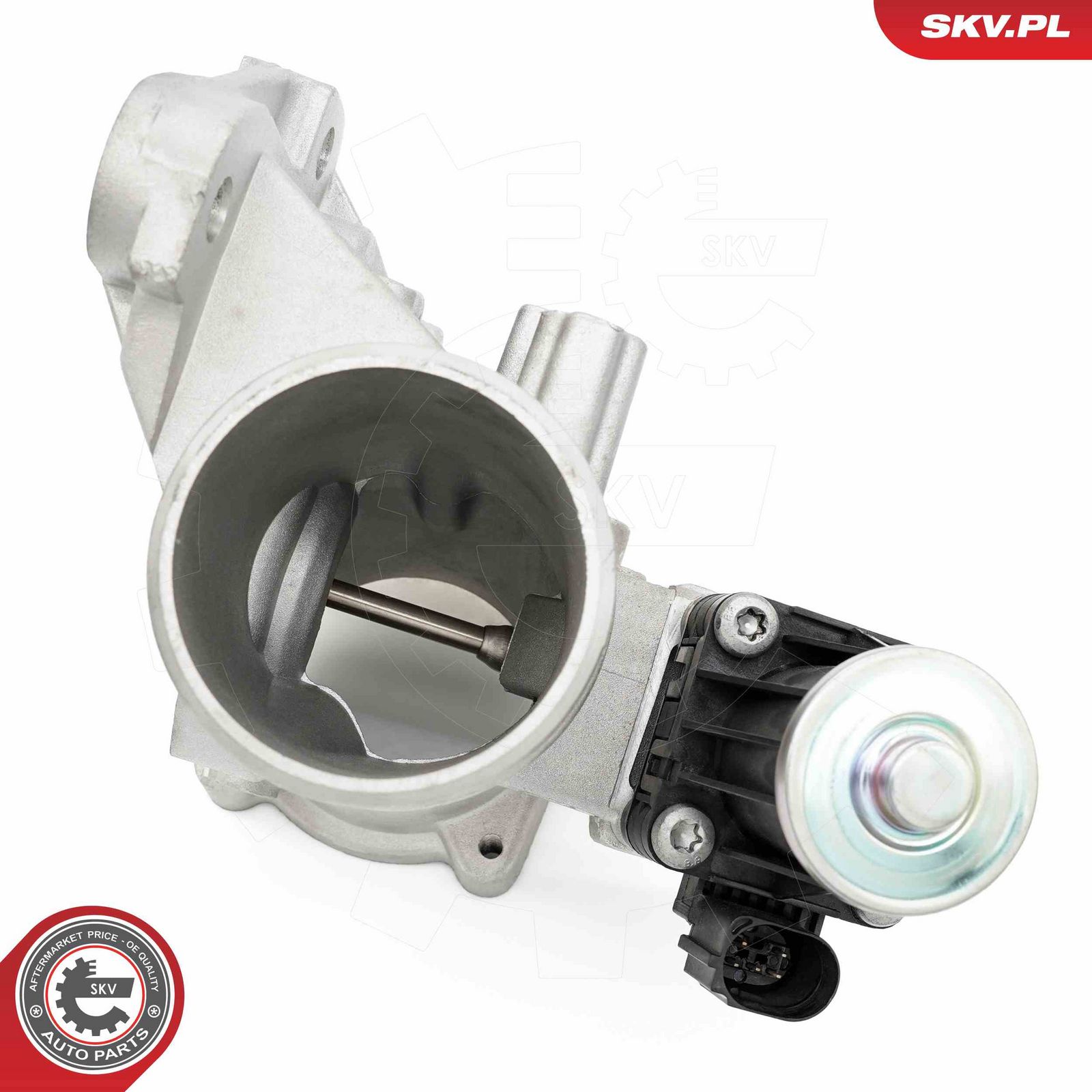 EGR Valve-3