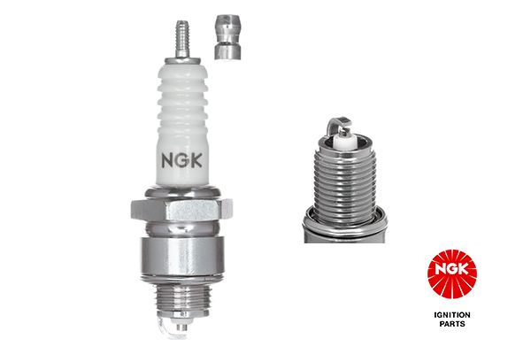 Spark Plug-1