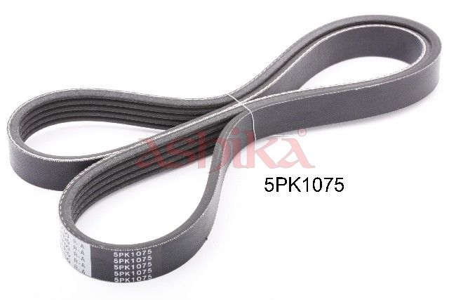 ASHIKA 112-5PK1075 V-ribbed belt
