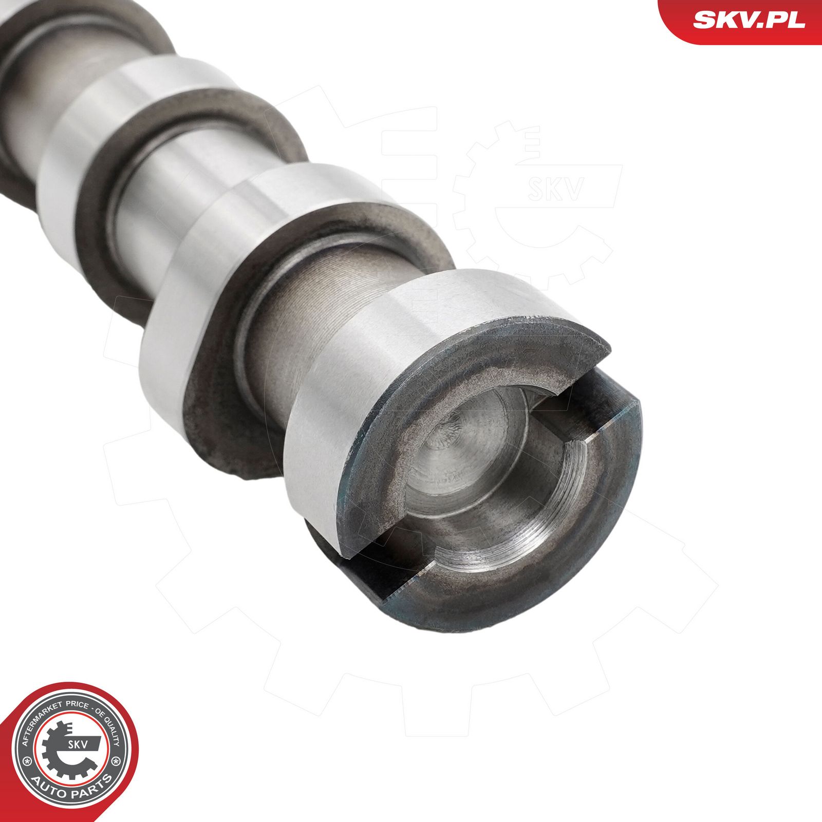 Camshaft Kit-3