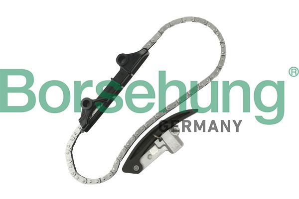 BORSEHUNG B10209 Chain kit, oil pump drive