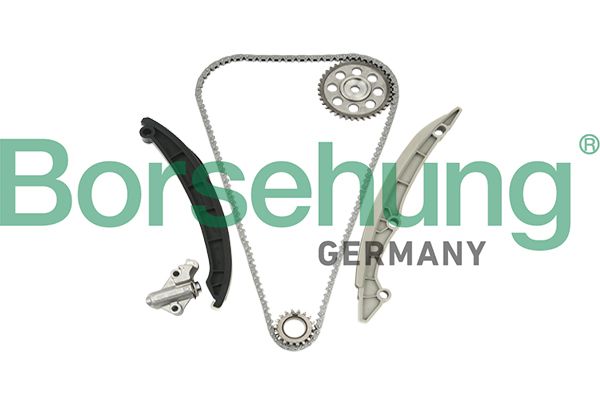 BORSEHUNG B18960 Timing chain kit