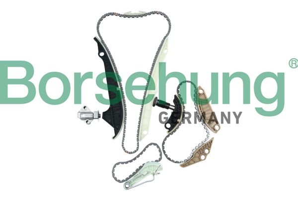 BORSEHUNG B10223 Timing chain kit