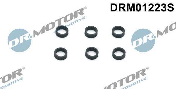 Seal Ring, injector