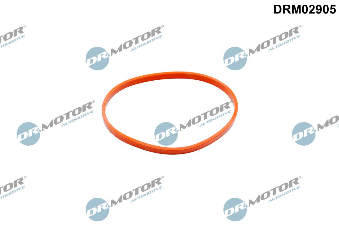 DR.MOTOR AUTOMOTIVE DRM02905 Gasket, throttle body
