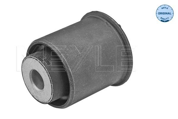 Mounting, control/trailing arm-1