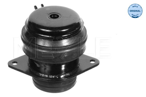 MEYLE 100 199 0073 Mounting, engine