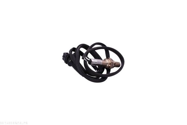 Oxygen Sensor-1
