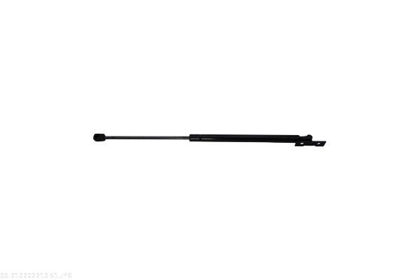 Gas Spring, bonnet-2