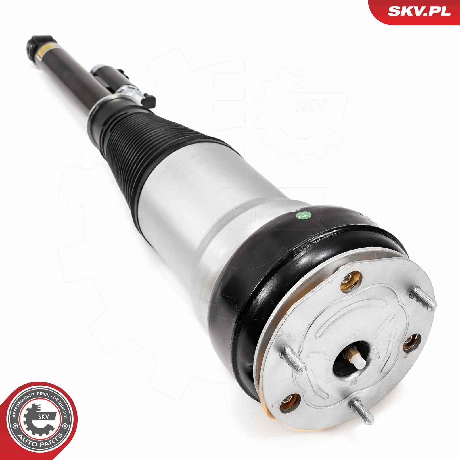 Air Suspension Strut-2