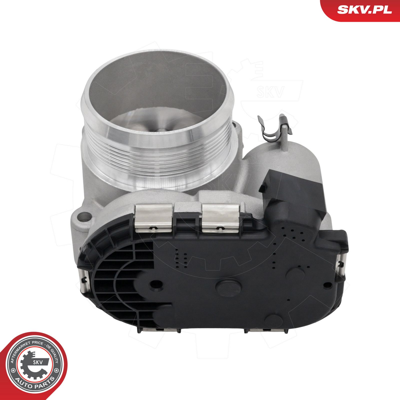 Throttle Body-1
