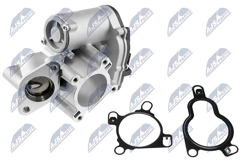 EGR Valve-1