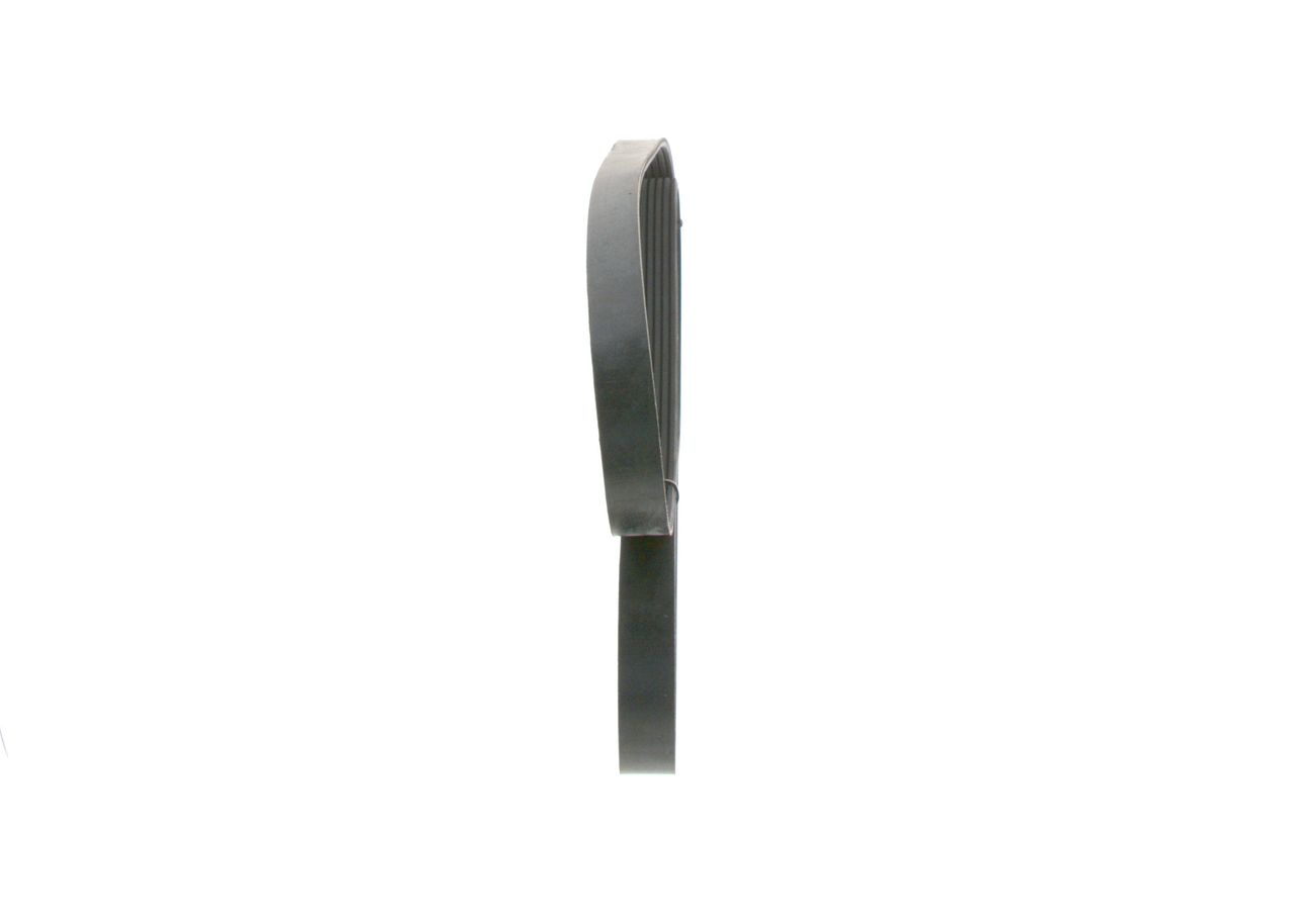 V-ribbed Belt-1