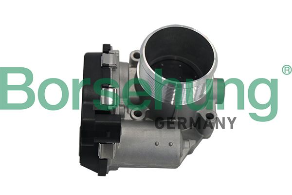 BORSEHUNG B19171 Throttle body